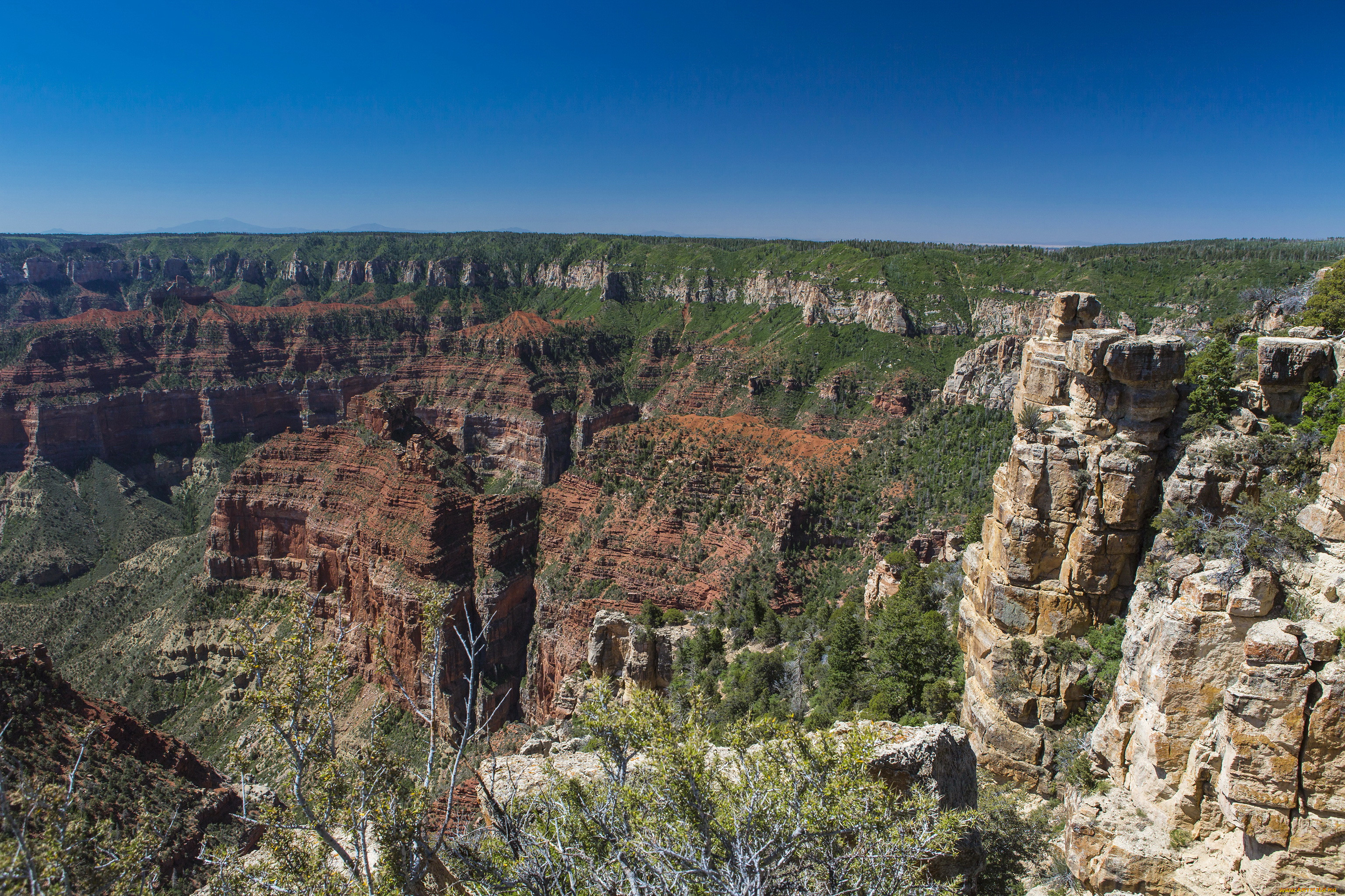 grand, canyon, national, park, arizona, , , 